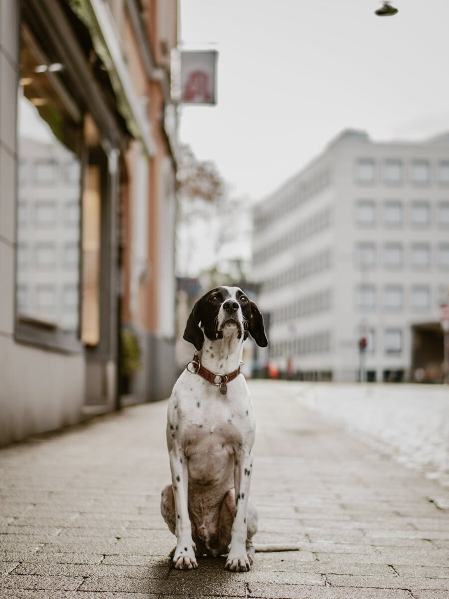 Banking Sector & Governance Laws